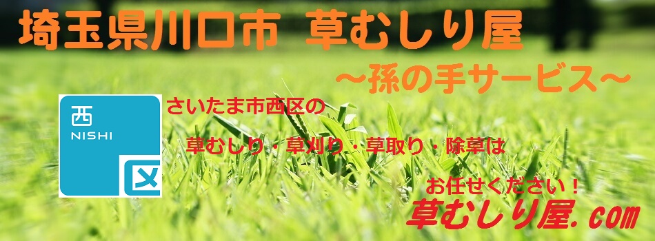 ̎T[rX